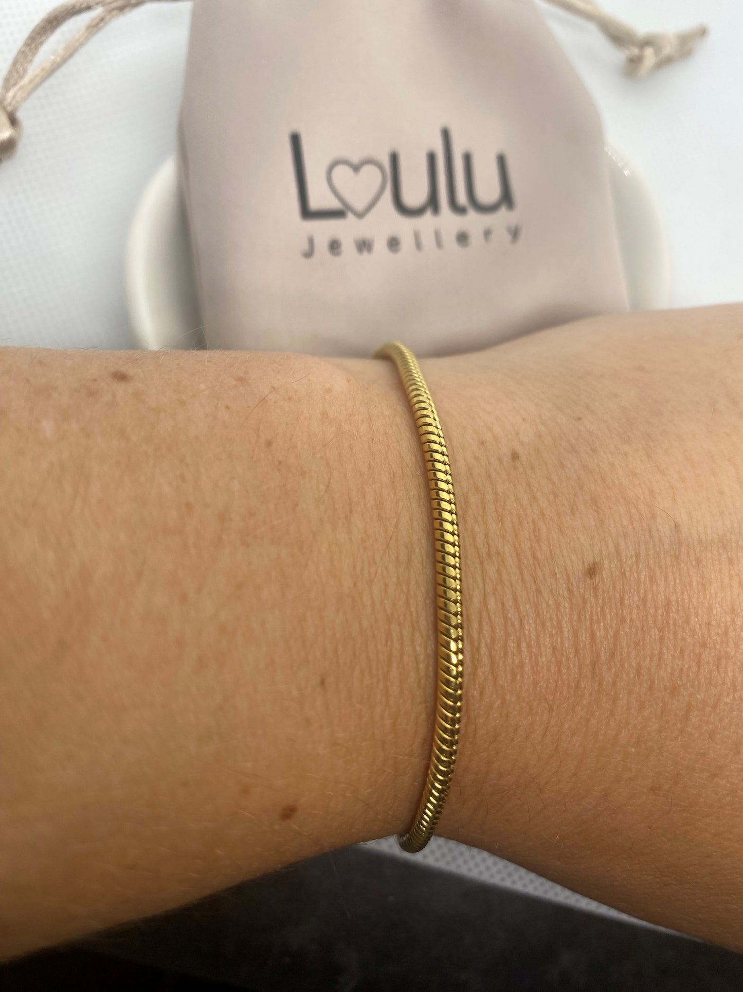 Snake chain Anklet & Bracelet