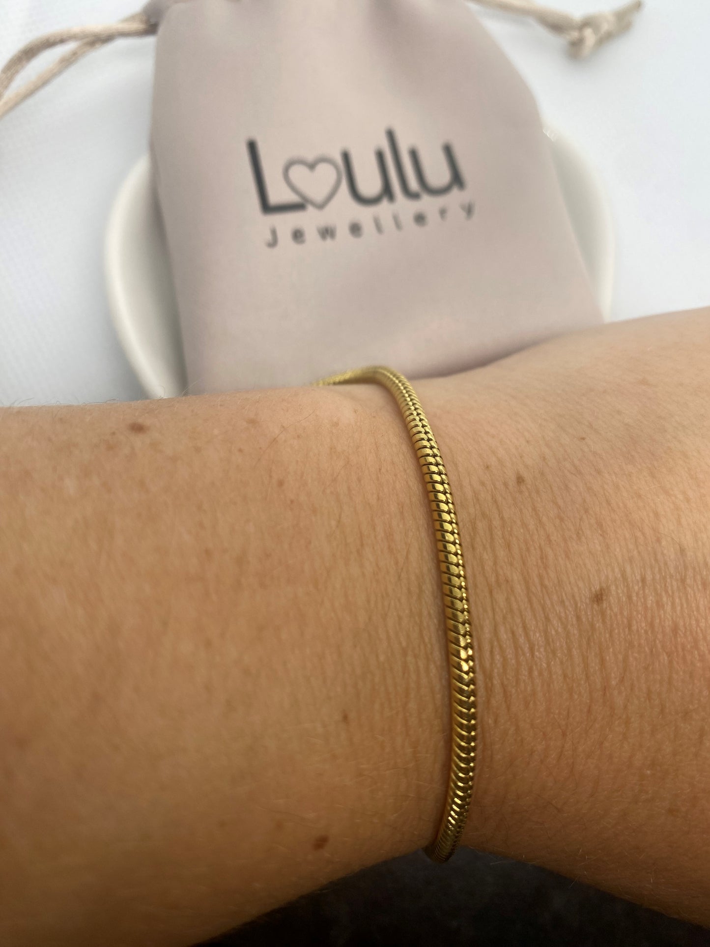 Snake chain Anklet & Bracelet